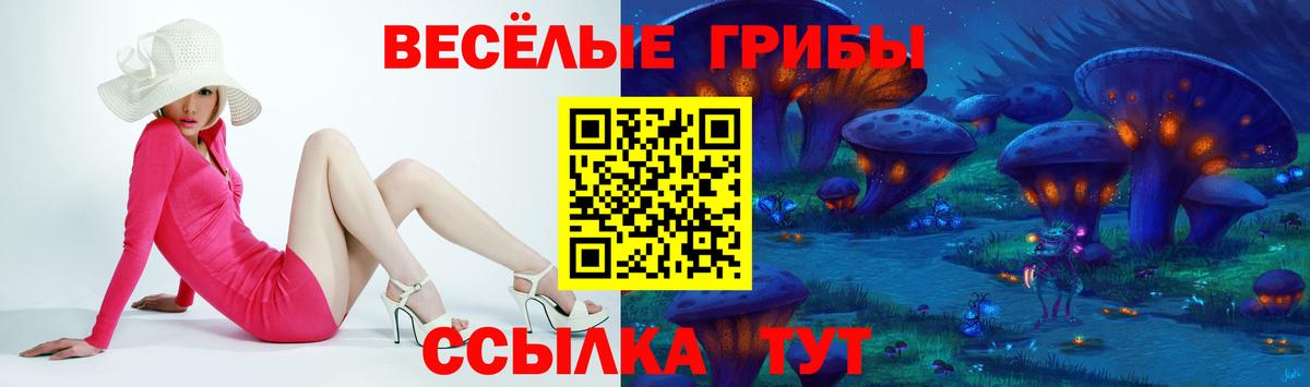 Галлюциногенные грибы Psilocybine cubensis Ачинск